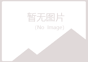 日照岚山小夏水泥有限公司